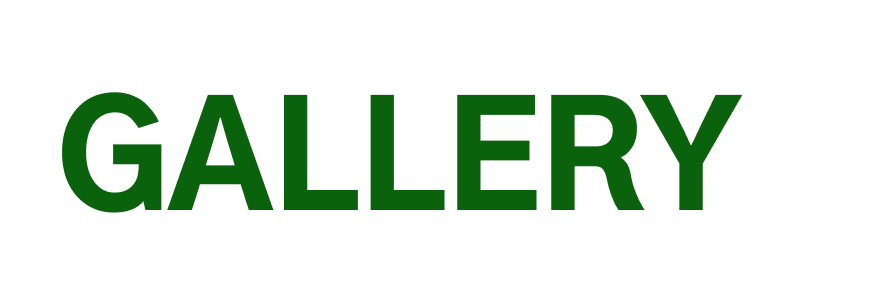 Image of Gallery Title